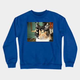 What Are You Looking At Crewneck Sweatshirt